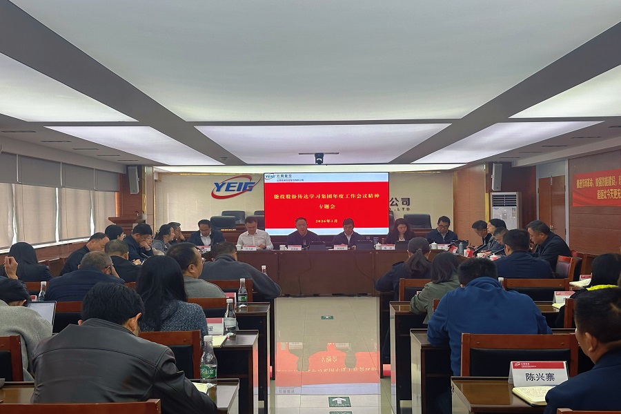 会议现场.jpg